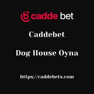 Caddebet Dog House Oyna